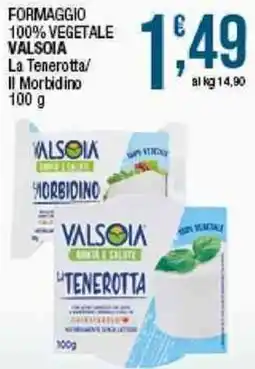 Sidis Formaggio vegetale Valsoia La Tenerotta offerta