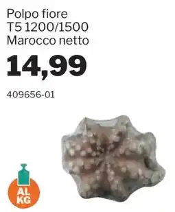 GrosMarket Polpo fiore offerta