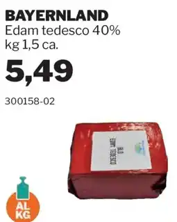 GrosMarket Edam tedesco 40% offerta