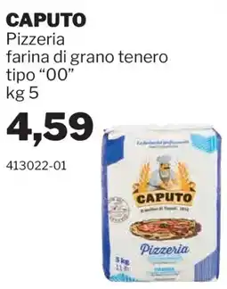GrosMarket Caputo farina di grano tenero tipo "00" offerta