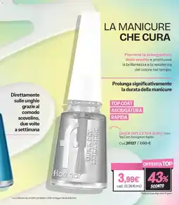 Stanhome Quick Dry Extra Shine Top Coat Asciugatura Rapida offerta