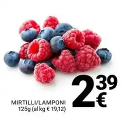Supermercati Gulliver Mirtilli/Lamponi offerta
