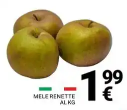 Supermercati Gulliver Mele Renette offerta