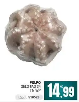 Centro Cash Polpo offerta