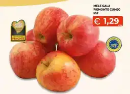 Mercatò Local Mele Gala Piemonte Cuneo IGP offerta