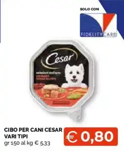 Mercatò Local Cibo per cani Cesar offerta