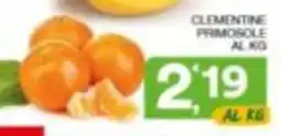 Quick Sisa Clementine Primosole offerta