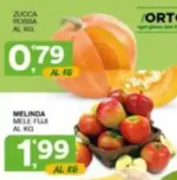 Quick Sisa Zucca rossa offerta