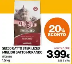 Superconti SECCO GATTO STERILIZED MIGLIOR GATTO MORANDO offerta