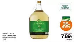 Superconti Vini Puglia IGP L'Antica Cantina Falanghina o Merlot offerta