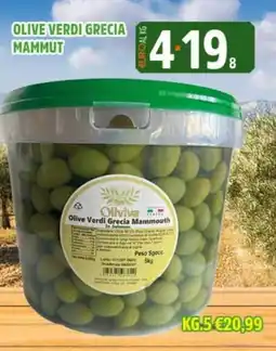 Big Food Olive Verdi Grecia Mammut offerta