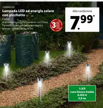 Lidl LIVARNOLUX Lampada LED ad energia solare con picchetto 5 pezzi offerta