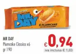 Cash & Carry Grossy Mr Day Plumcake Classico offerta