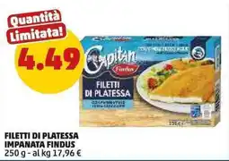 PENNY Filetti di platessa impanata Findus offerta