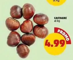 PENNY Castagne offerta