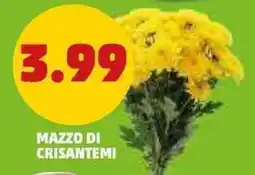 PENNY Mazzo di crisantemi offerta