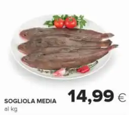 Oasi Sogliola media offerta