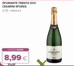 Oasi Spumante Trento DOC Cesarini Sforza offerta