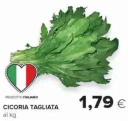 Oasi Cicoria tagliata offerta