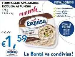 Migross Supermercati e Market Formaggio spalmabile Exquisa ai funghi offerta