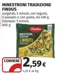 Ipercoop Minestrone tradizione Findus offerta