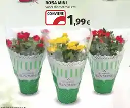 Ipercoop Rosa mini offerta