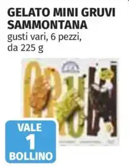 Ipercoop Gelato mini Gruvi Sammontana offerta