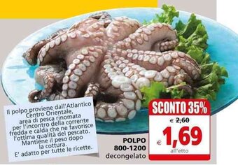 Il Gigante Polpo 800-1200 decongelato offerta