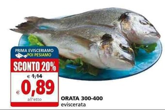 Il Gigante Orata 300-400 eviscerata offerta