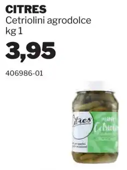 GrosMarket Citres Cetriolini agrodolce offerta