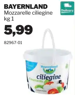 GrosMarket Bayerntland Mozzarella ciliegine offerta