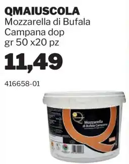 GrosMarket Qmaiuscola Mozzarella di Bufala Campana dop offerta
