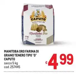 Metro Manitoba Oro farina di grano tenero tipo "O" Caputo offerta