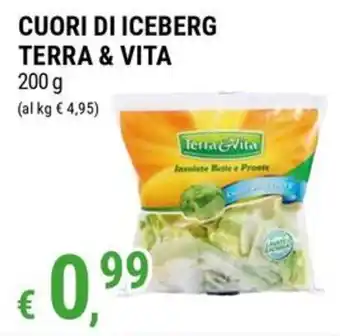 Cuori di iceberg Terra & Vita