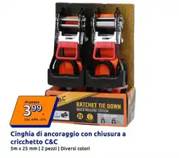 Action Cinghia di ancoraggio con chiusura a cricchetto C&C offerta