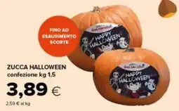 Tigre Zucca Halloween don camillo offerta
