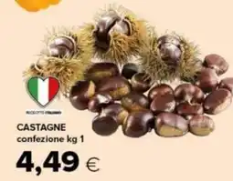 Tigre Castagne offerta