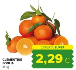 Tigre Clementine Foglia offerta