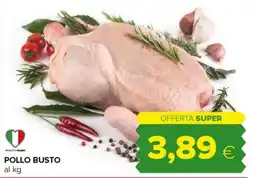 Tigre Pollo busto offerta