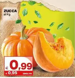 Boningros Cash and Carry Zucca offerta