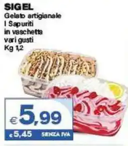 Boningros Cash and Carry Sigel Gelato artigianale I Sapuriti in vaschetta offerta
