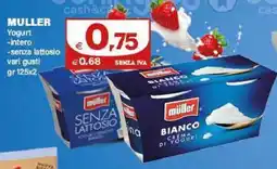 Boningros Cash and Carry Müller Yogurt intero/senza lattosio offerta