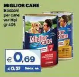 Boningros Cash and Carry Miglior Cane offerta