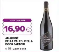 Tigre Amarone della Valpolicella DOCG Sartori offerta