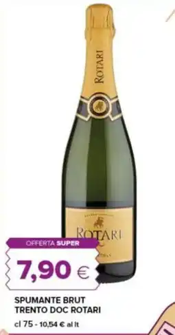 Tigre Spumante brut trento doc rotari offerta