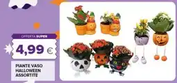 Tigre Pianta vaso halloween assortite offerta