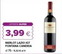 Tigre Merlot Lazio IGT Fontana Candida offerta