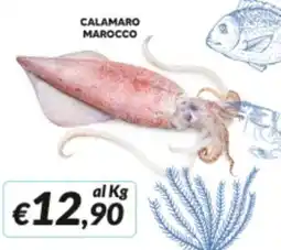 Supermercati Visotto Calamaro Marocco offerta