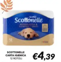 Supermercati Visotto Scottonelle carta igienica offerta
