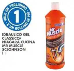 Italmark Idraulico gel classico Niagara cucina Mr Muscle offerta